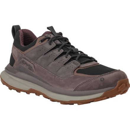 Oboz Hyalite Low B-Dry Hiking Shoes - Men's 2