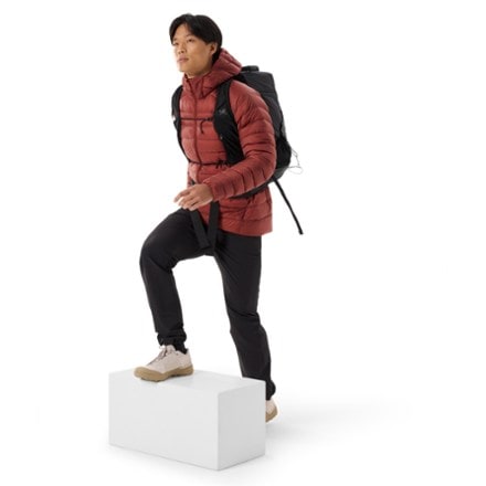 Arc'teryx Cerium Down Hoody - Men's 3