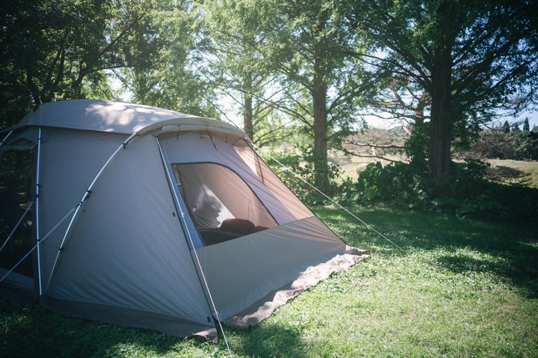 Location Image for Land Nest Shelter