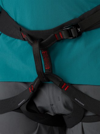 Arc'teryx C-Quence Harness - Men's 4