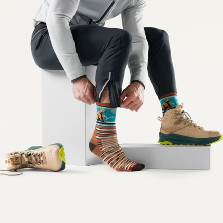 Smartwool Hike Targeted Cushion Bear Stripe Mid Crew Socks 1