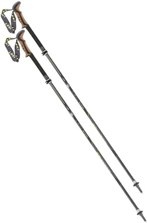 leki titanium trekking pole