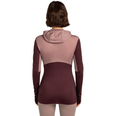 Icebreaker Merino Blend 200 RealFleece Descender Long-Sleeve Zip Hoodie - Women's 1