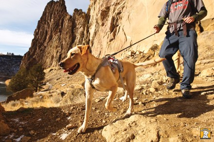 tie in point (Graphite Gray)