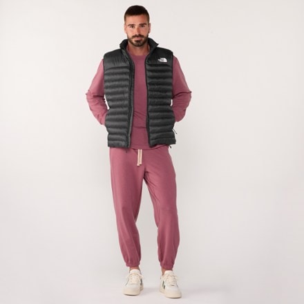 The North Face Terra Peak Insulated Vest - Men's 5