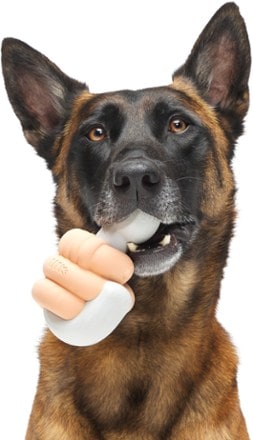 Bark Doggone Fishin' Super Chewer Dog Toy 2