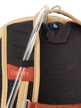 Osprey Daylite Plus Pack Special Edition Hydration port & tube routing
