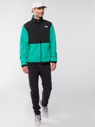 The North Face Denali 2 Fleece Jacket - Men's 3