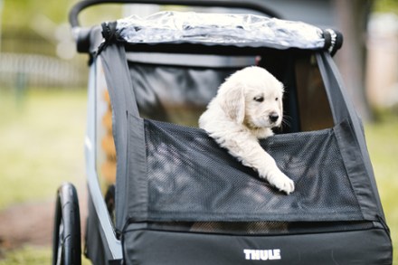 Thule Courier Dog Trailer Kit Includes roll up mesh window & rain cover and removable padded dog bed. Trailer not included.