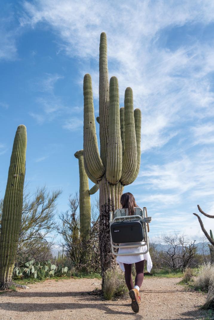 Location Image for Voyager Chair