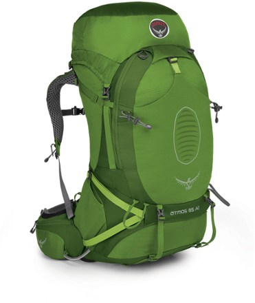 domein meester Boodschapper Osprey Atmos AG 65 Pack - Men's | REI Co-op