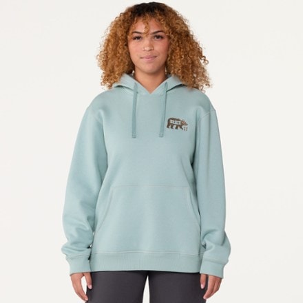 REI Co-op Nature Friends Pullover Hoodie 2