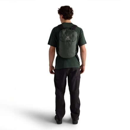 Arc'teryx Konseal 15 Pack 3