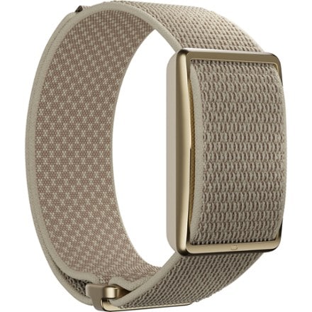 Polar Loop 2