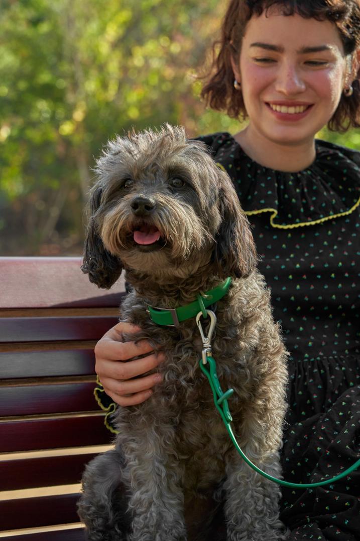 Location Image for Waterproof Dog Collar