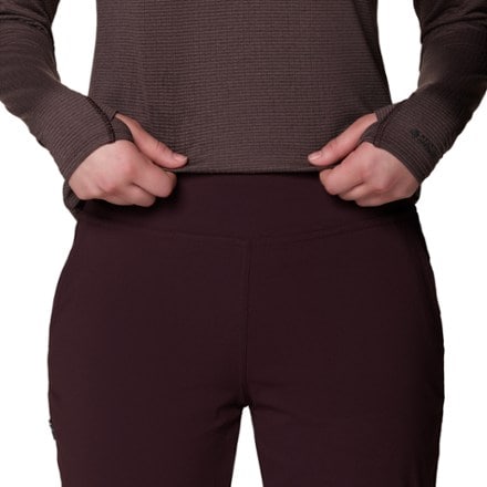 Mountain Hardwear Dynama Lined Pants - Women's 4