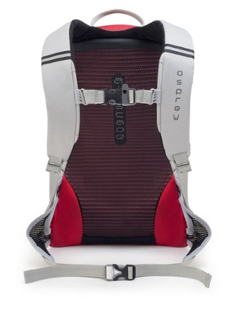 Back View (Cherry Shake)