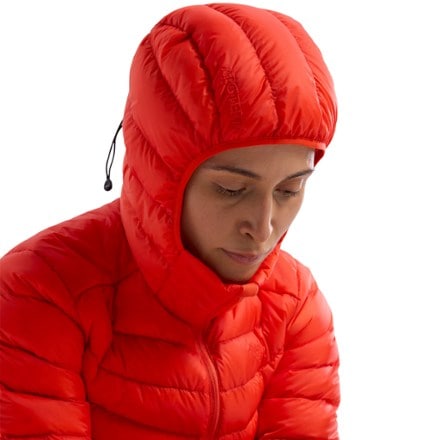 Arc'teryx Cerium Insulated Hoody - Women's 6