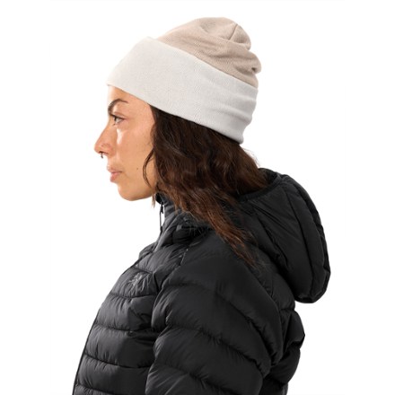 Arc'teryx Color Block Toque 3