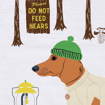 Claudia Pearson Camping Dogs Tea Towel - Dachshund | REI Co-op