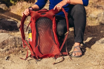 Location Image for Arrio 24 Pack - Plus Size