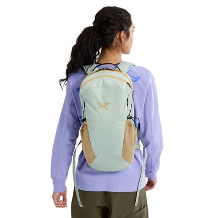 Arc'teryx Mantis 16 Pack 3
