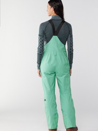 The North Face Freedom Bib Pants - Women's 2