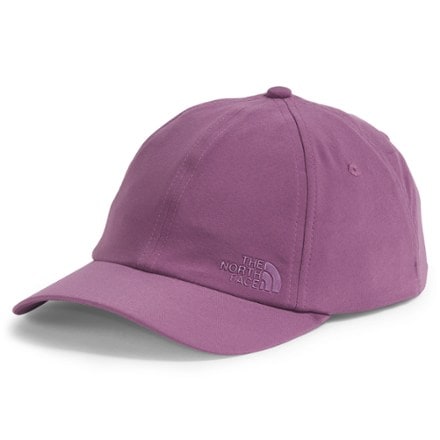 The North Face Never Stop Hat 0