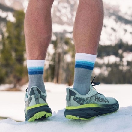 Feetures Merino 10 Max Cush Mini Crew Socks 2