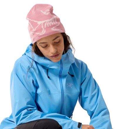 Arc'teryx Bird Head Toque Beanie 4