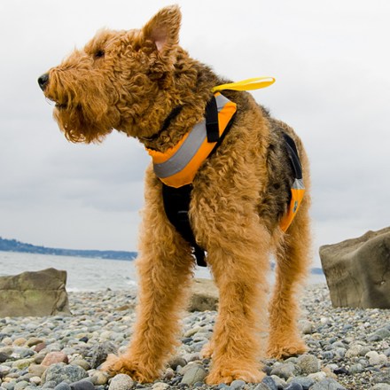 Under neck floatation lets the head ride higher above the water