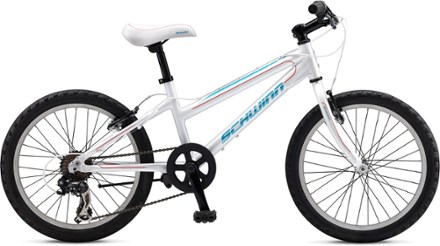 schwinn youth bike
