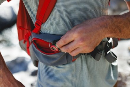 Ruffwear Hitch Hiker Dog Pack Carrier 5