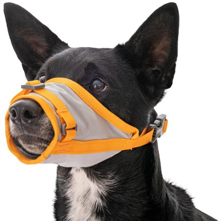 Ruffwear BackTrak Evacuation Kit 5