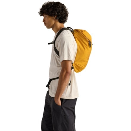 Arc'teryx Konseal 15 Pack 6