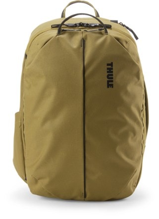 Thule Aion Travel Pack - 40 L Back view (Nutria)