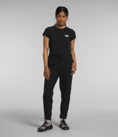 The North Face Alpine Polartec 100 Pants - Women's 5