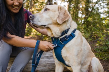 Ruffwear Front Range Leash 7