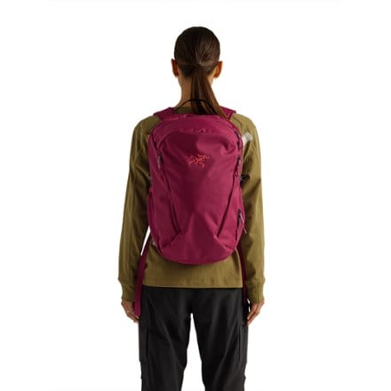 Arc'teryx Mantis 26 Pack 1