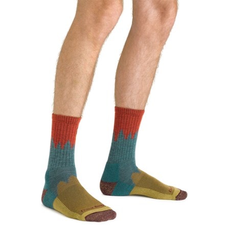 Darn Tough Number 2 Micro Crew Cushion Socks - Men's 1