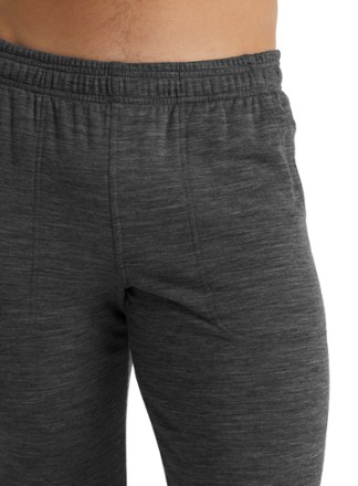 Icebreaker Shifter Pants - Men's 4