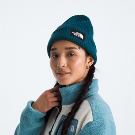 The North Face Salty Lined Beanie 1