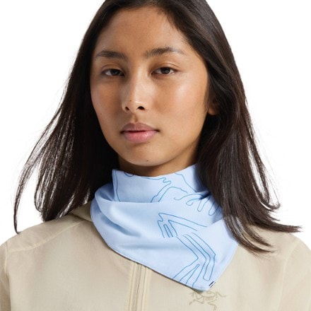 Arc'teryx Sinsolo Bandana 6