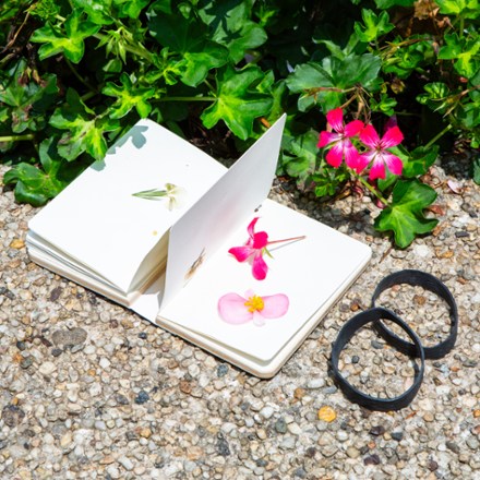 Kikkerland Flower Press 2