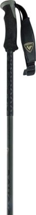 Rossignol BC 100 Poles 1