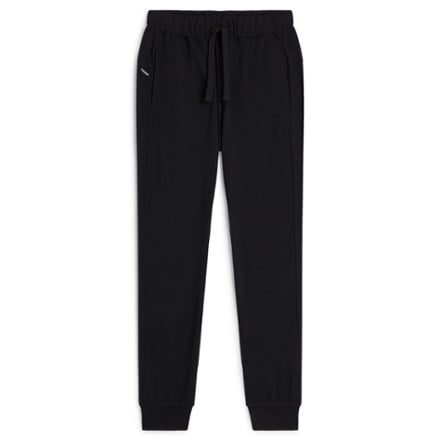 Icebreaker Merino Blend 200 Crush Pants - Women's 0