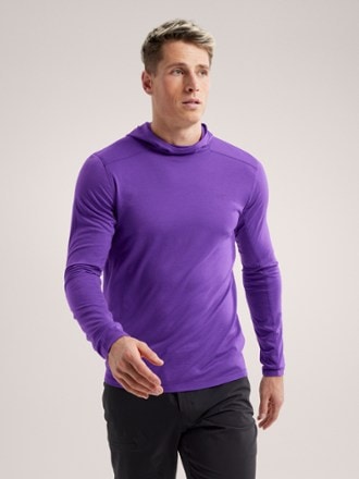 Arc'teryx Ionia Merino Wool Base Layer Hoodie Men's REI Coop