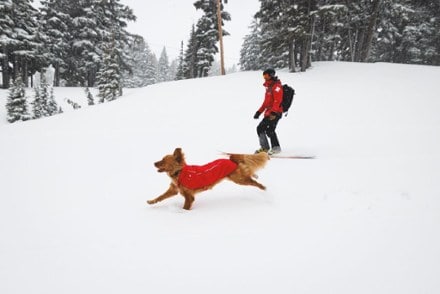 Ruffwear Powder Hound Waterproof Dog Vest 10