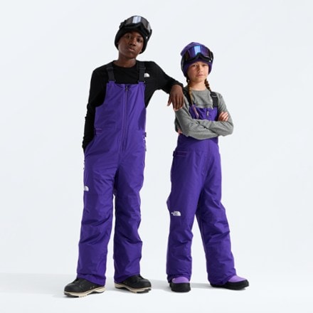 The North Face Freedom Insulated Bib Snow Pants 4