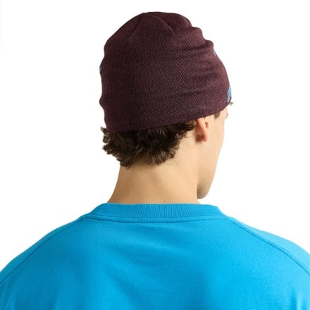 Arc'teryx Bird Head Toque Beanie 2